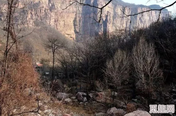 揭秘原始传奇：神龙守将真假装备辨别指南详解