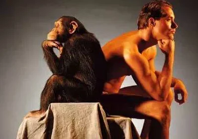 欧美一区二区三区香蕉视：震惊！全球首个香蕉基因编辑技术成功问世，或将彻底改变水果产业格局！