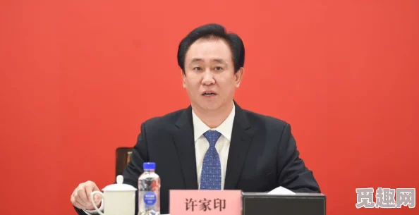 恒大许家印玩白册册小说：揭示了许家印在恒大集团的商业运作与个人生活之间的复杂关系，以及其对未来发展的思考与规划
