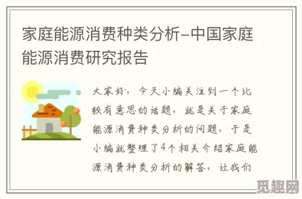 家庭理论电费1中文版：基于家庭能源消费行为的实证研究与政策建议分析