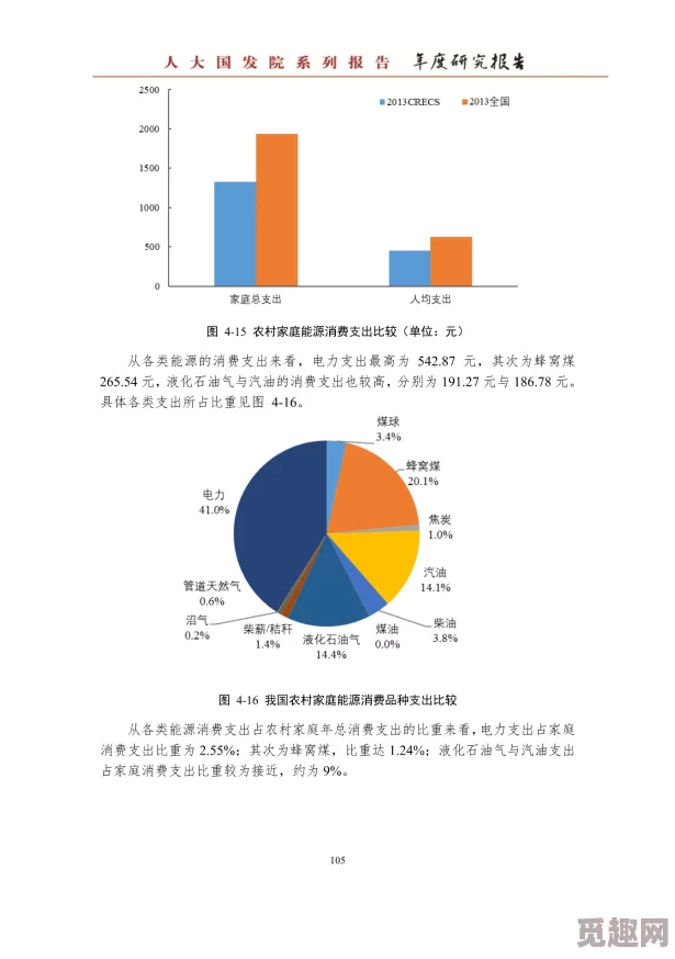 家庭理论电费1中文版：基于家庭能源消费行为的实证研究与政策建议分析