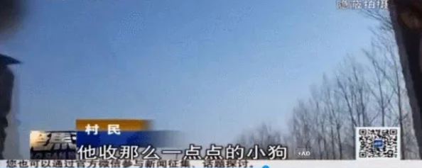 植物大战僵尸射击版：深度解析杂交植物射击模式正常攻略指南