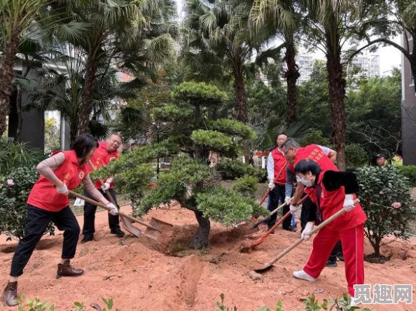 海角社区绿意盎然：新植树种活动启动，居民共同参与美化家园提升生态环境质量