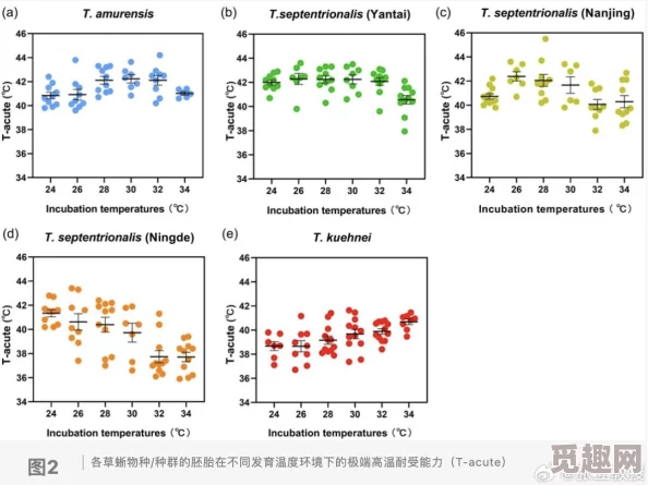 末发育娇小XXXXX仙踪林：最新动态揭示其独特生态环境与生物多样性的重要性，吸引众多研究者关注