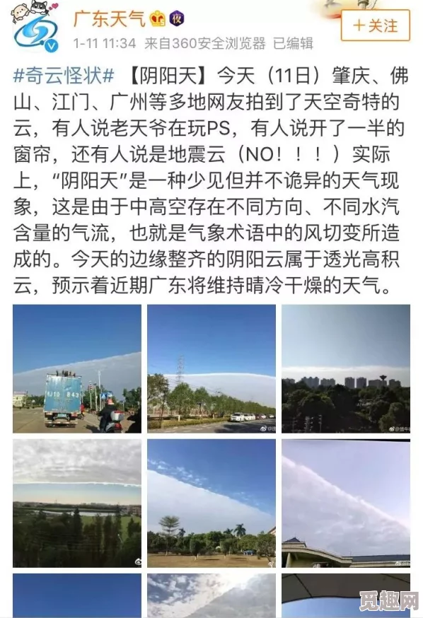 无码粉嫩虎白一线天在线观看：最新动态与观众反响，热度持续攀升，引发广泛讨论与关注