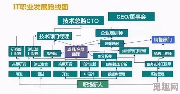 老：最新动态揭示了行业发展趋势与市场变化，专家分析未来前景及挑战