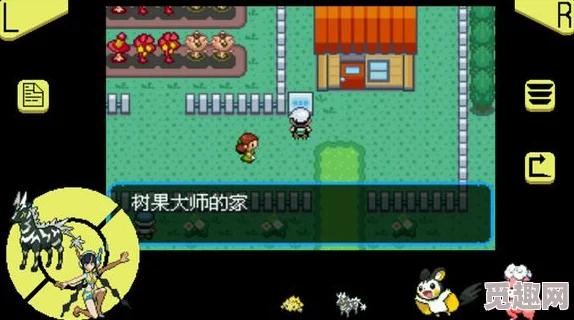 重塑经典，口袋妖怪复刻版Mega烈焰猴顶尖配招策略全览与实战应用指南