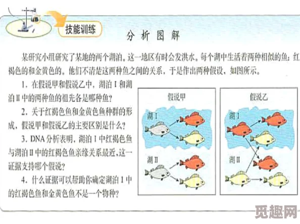 双性受的荡生活合集np：探索多元关系与情感交织的奇妙旅程，体验不一样的爱与欲望
