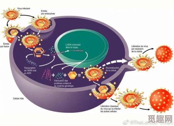 日本科学家发现新型抗病毒药物可有效对抗多种流感病毒引发全球关注与期待