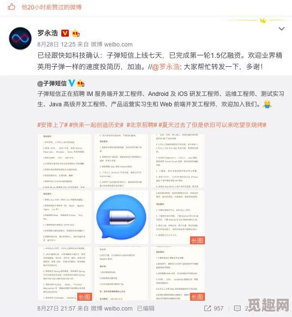 色吊丝永久性观看网址网友认为该网站内容丰富但需注意安全和隐私保护，建议使用VPN访问以确保上网安全