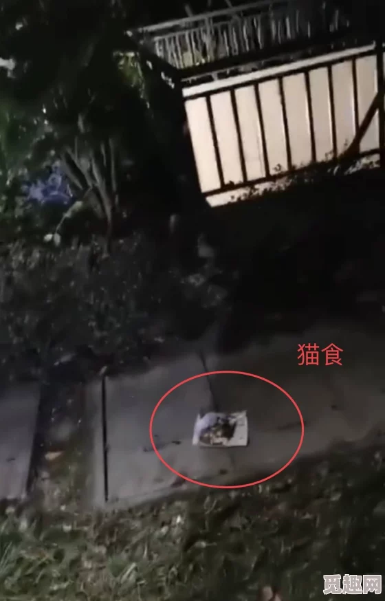 午夜精品一区二区三区免费视频，内容丰富多彩，让人欲罢不能，真是个不错的选择！