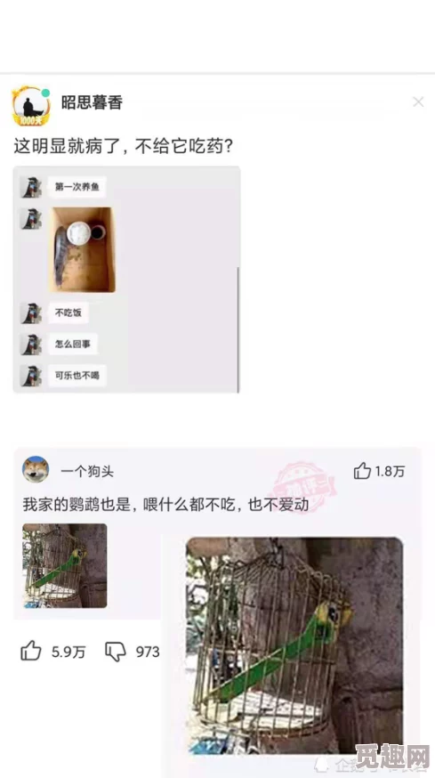 男人天堂亚洲色图网友认为该内容涉及成人主题，可能不适合未成年人观看，同时也引发了对网络内容监管的讨论