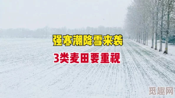 污文推荐西京囧事生活中的每一个囧境都是成长的机会，积极面对才能迎来转机