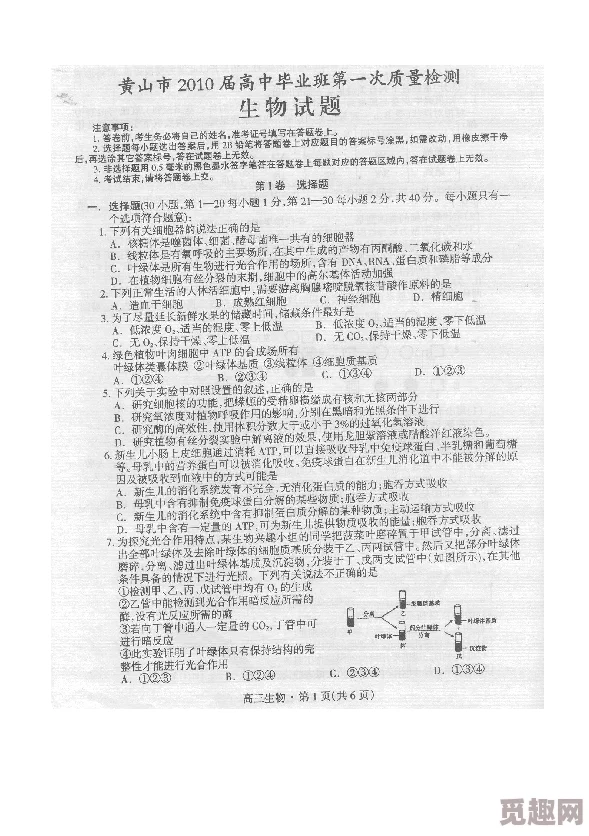 纯开黄车作文高质量糙汉奇思妙探勇于探索创造无限可能让我们一起追寻梦想与希望