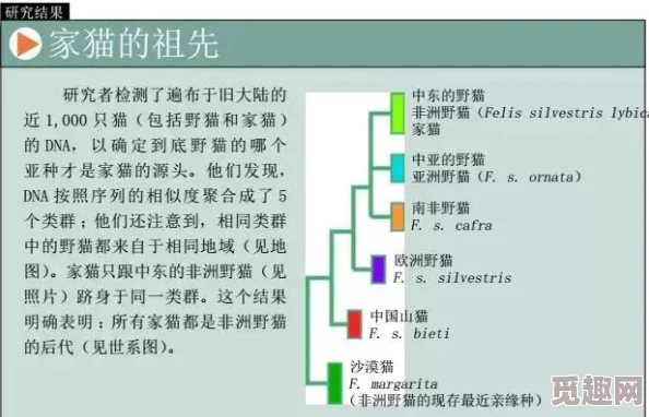 杂交bUCsm人类ssbA基因编辑技术取得阶段性突破已成功导入目标细胞