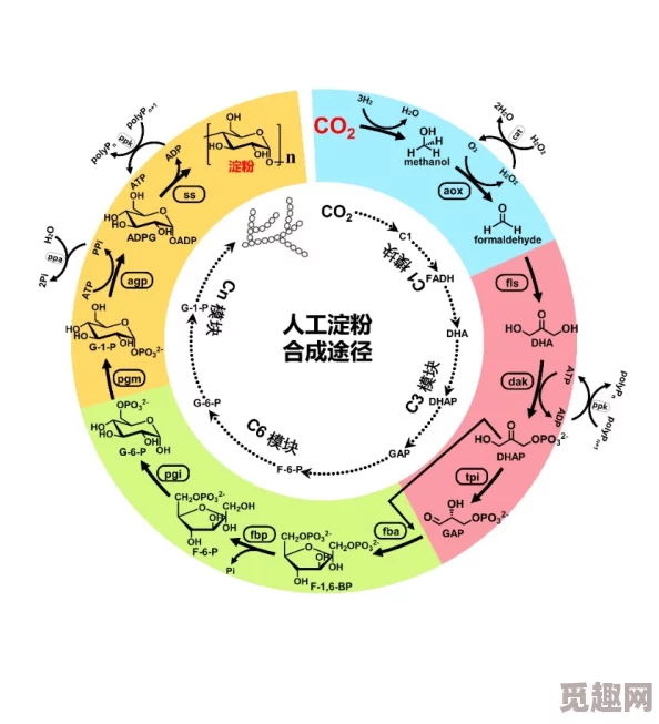 tomhayaomakmanta的象征最新研究揭示其与古代星图的关联或蕴含宇宙奥秘