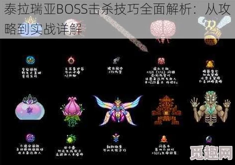 泰拉瑞亚Boss圣骑士全面攻略：揭秘属性、打法技巧，更有惊喜掉落物品大公开！