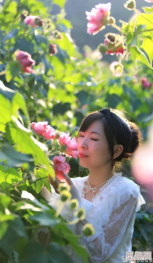 巨年少根与艳妇全文阅芙蓉花已开这部作品充满诗意，画面唯美，情感真挚，令人回味无穷