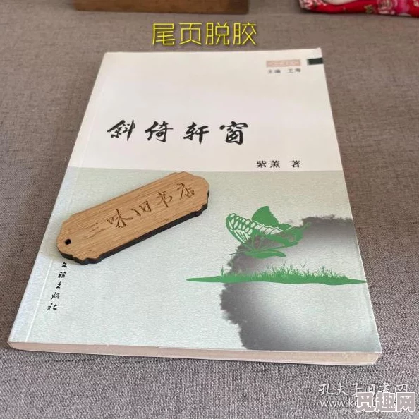 紫轩小说手打吧据传作者曾用笔名发表过青春疼痛文学作品引发读者热议