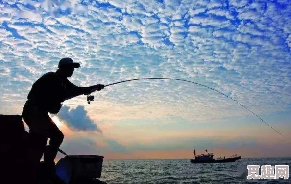 独家爆料：心动小镇神秘海域揭秘，最佳锤头鲨垂钓点曝光！