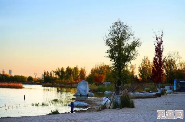 不如跳舞沙滩三个小男孩为何充满童趣的表演风格唤起人们美好的童年回忆 不如跳舞沙滩三个小男孩为何充满童趣的表演风格唤起人们美好的童年回忆