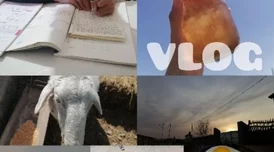 午夜理伦为什么展现边缘人群的生存状态为何揭示社会现实引人深思 午夜理伦为什么展现边缘人群的生存状态为何揭示社会现实引人深思