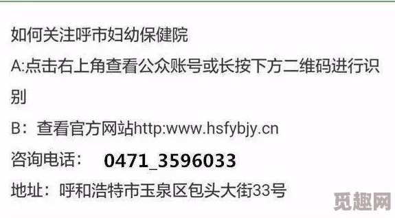 潜行者2全负面状态效果揭秘及高效治疗方法推荐指南