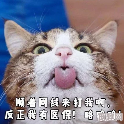 震惊！科学家发现猫咪舔毛竟能延长寿命啊啊啊你tm别舔了