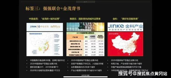 2025热门游戏攻略：《黑豹:如龙新章》详细图文全解析，含最新全支线与夜店攻略