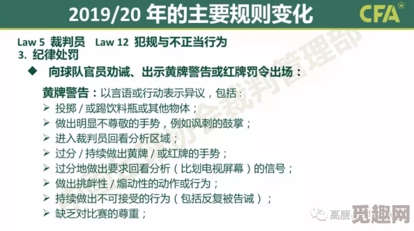 2025年彩虹争霸赛全新规则解析与高效竞技技巧指南